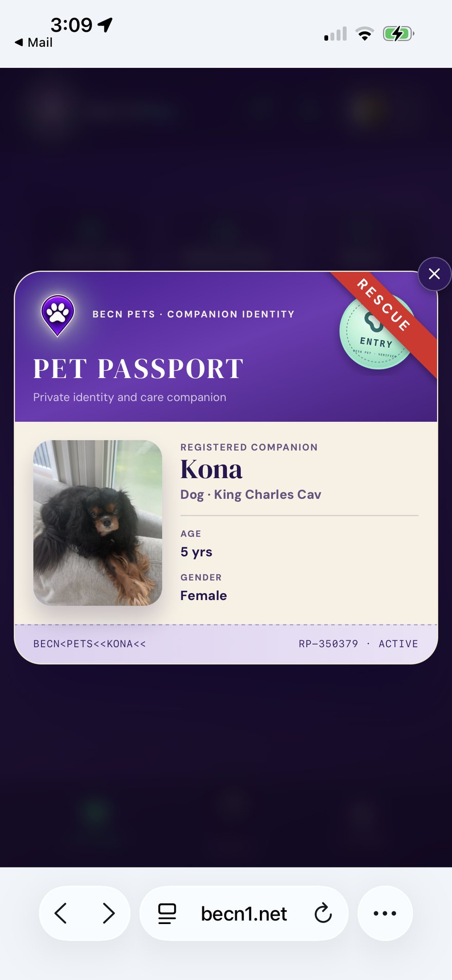 A Passport with an active rescue entry. The badge shows your pet is currently reported missing.