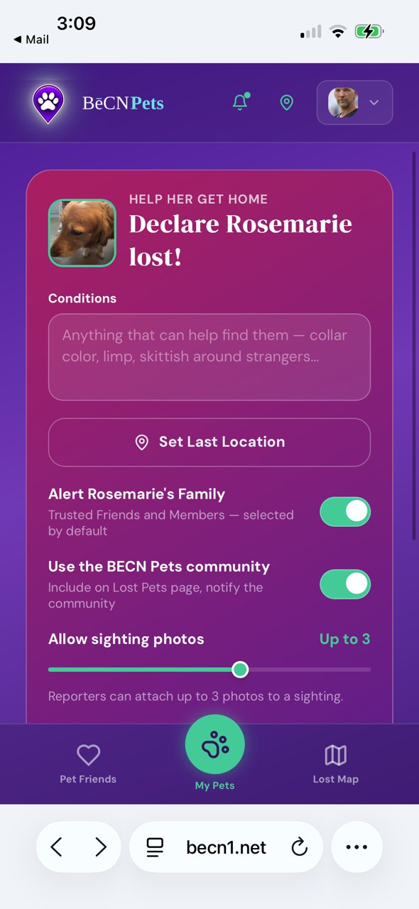 Say where your pet was last seen and note any conditions.