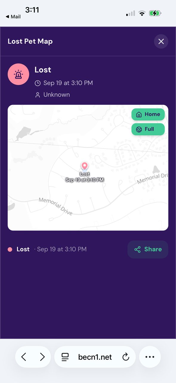 Tap a pin to see when and where the pet was last seen.