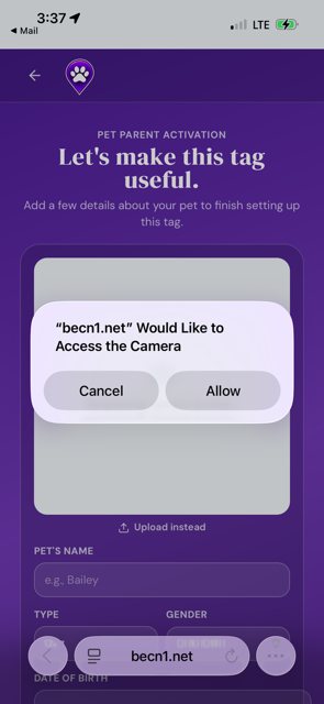 Tap Allow so you can take your pet's photo.