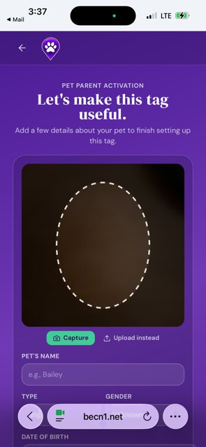 Line your pet up in the oval and tap Capture.
