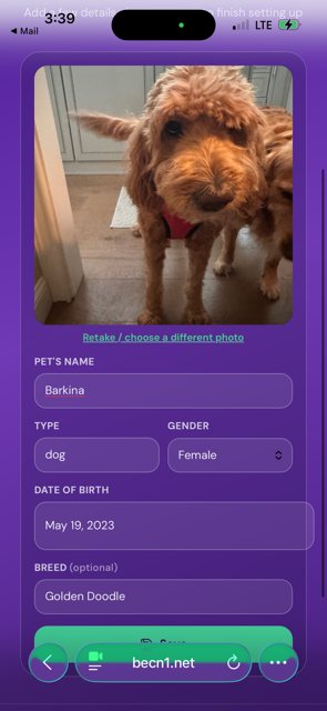 Fill in your pet's details, then tap Save.