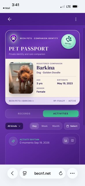 Tap Activities to see your pet's daily rhythm.
