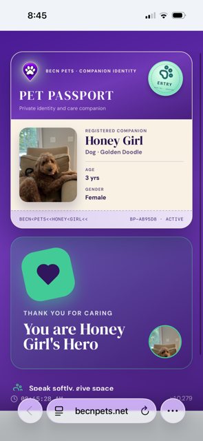 A thank-you message appears after you report the pet as found.