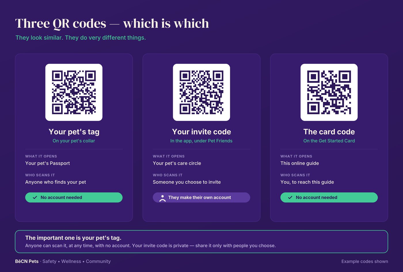 Diagram showing the three BēCN Pets QR codes and what each one opens.